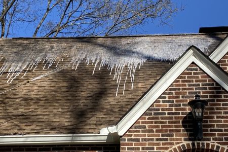 Roof Cleaning